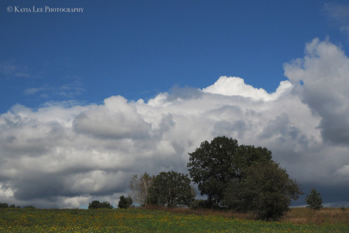 peregrinusperegrina: Oh Wisconsin, you’re so stereotypically pretty….