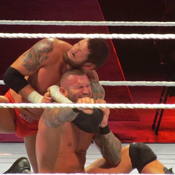 Love watching Wade &amp; Randy wrestle!