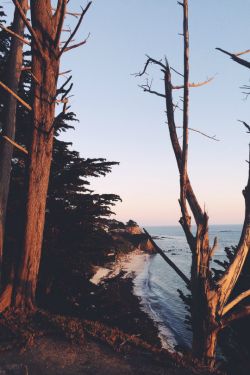 expressions-of-nature:  by JinerousNorthern California Walks / Fitzgerald Marine Reserve