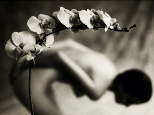 cherban11:  Mark Arbeit 