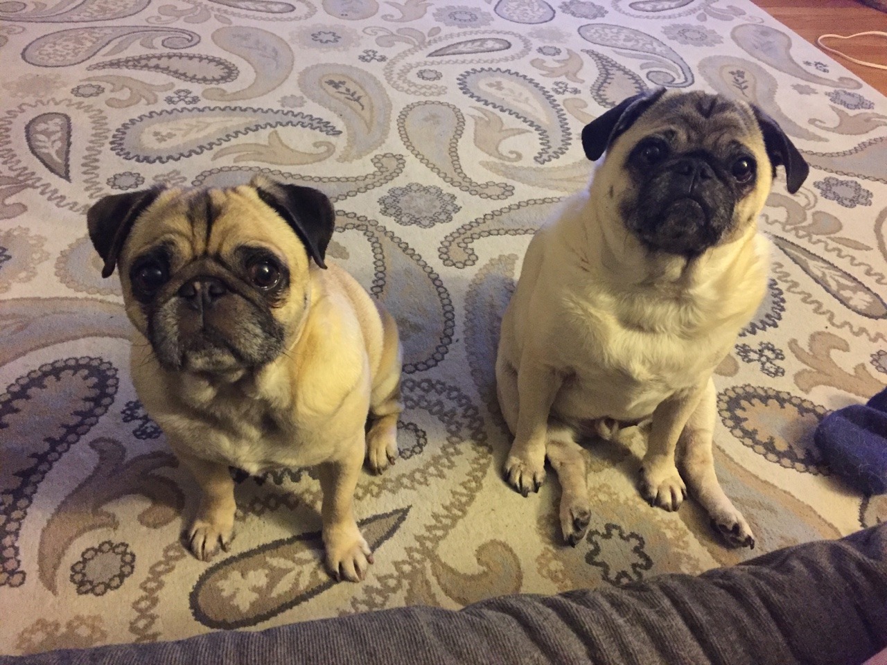 teahupooandgimli:  Two beggars