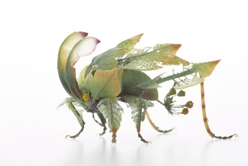 archiemcphee:We love these exquisitely detailed fantasy insects created by Japanese artist Hiroshi S