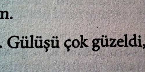 Bir delinin saifesi.