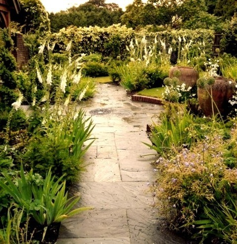 Fountain Landscape