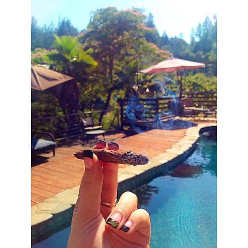 weedporndaily:  Happy Fridayyy 😎💨💨 #backwoodbabe by @kaitlyndoobie
