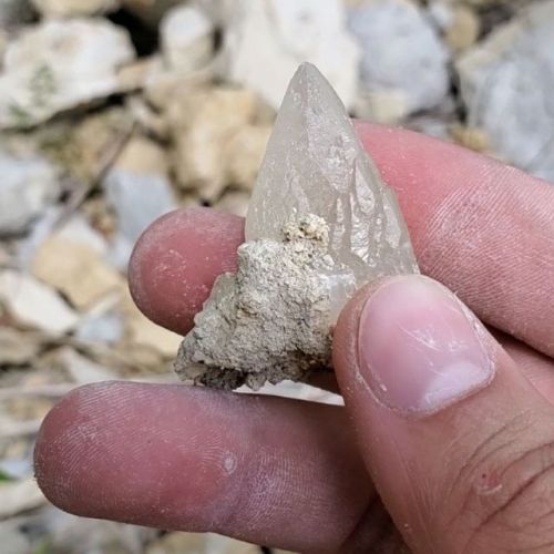 Neat little calcite from a rock fall just off the side of the highway#crystal #rockhound #fossicki