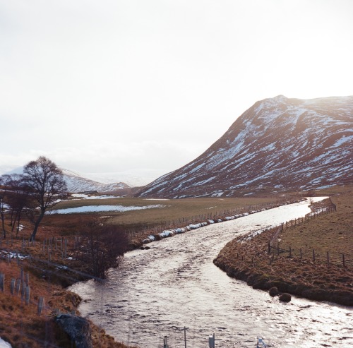 Cairngorms National Park - February 2022Rolleicord Vb on Kodak Ektar 100