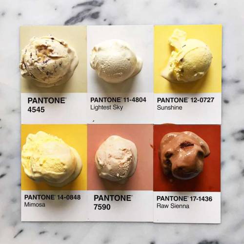 art-tension:Pantone Food – Turning colorful ingredients into appetizing Pantone colors With her