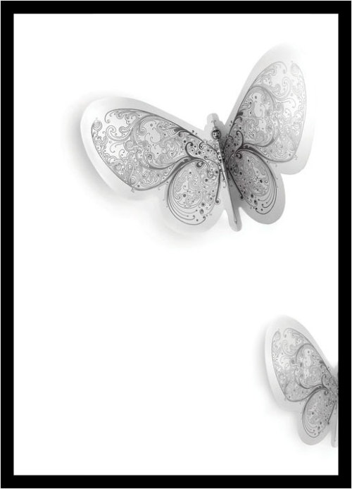 butterfly by Si Scott