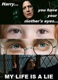 ibcaptainchunk:Devistated Snape lol