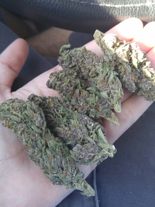 idankstankblr:  Smoking on some of that extra kill, purple urkle that Jaleel. ~