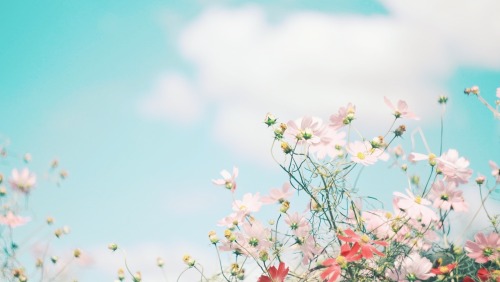 Healing Of The Sky And Flowers.
