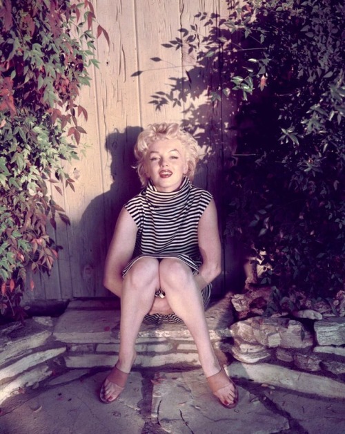 Marilyn Monroe photographed by Ted Baron in 1954.