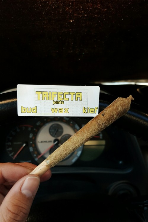 withlovenancy:  Hot boxed my car with this trifecta joint on the eve of 420 🌻