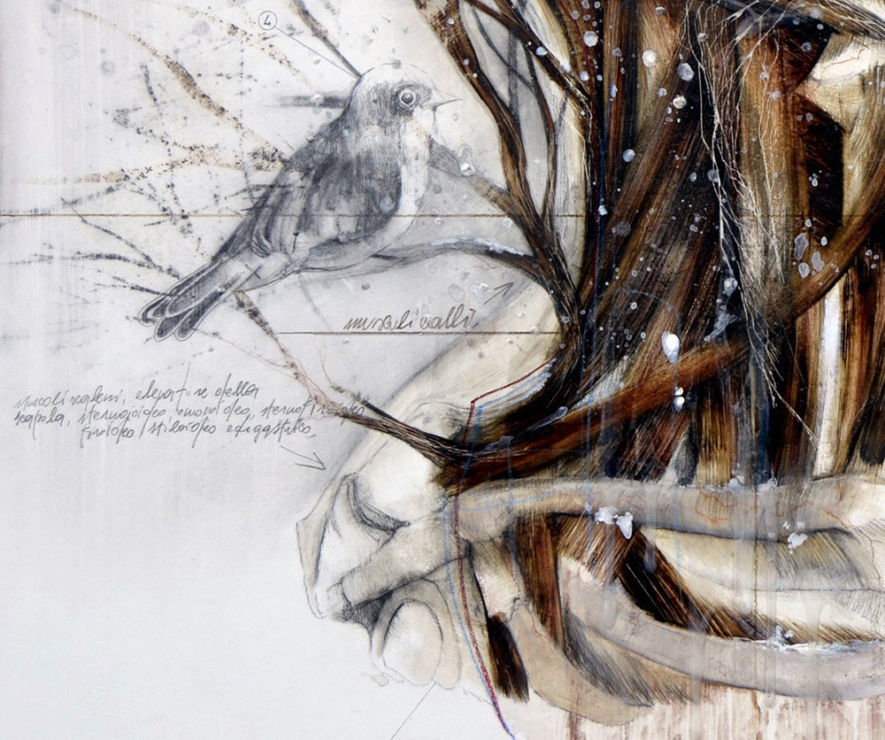 itscolossal:  Birds and Fauna Sprout From Nunzio Paci’s New Graphite and Oil Anatomical
