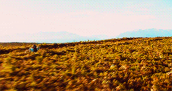 mastergamgee:The Fellowship of the Ring (2001) - Scenery