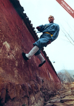 feiyuesizechart:  feiyueshoesaustralia: Shaolin