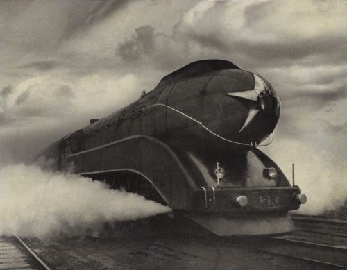 loverofbeauty:  Speed