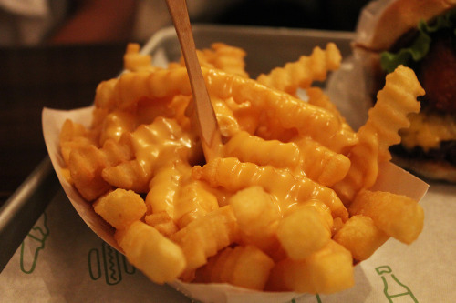 foodishouldnoteat:  if you love food follow my blog! 