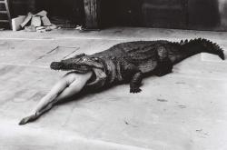 jimlovesart:Helmut Newton - Scene from a