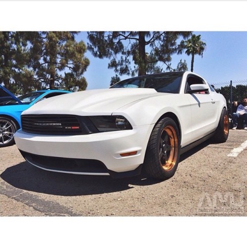 It's not just a car, it's a lifestyle!