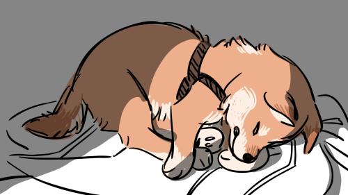 my crew sweater smells like puppy
