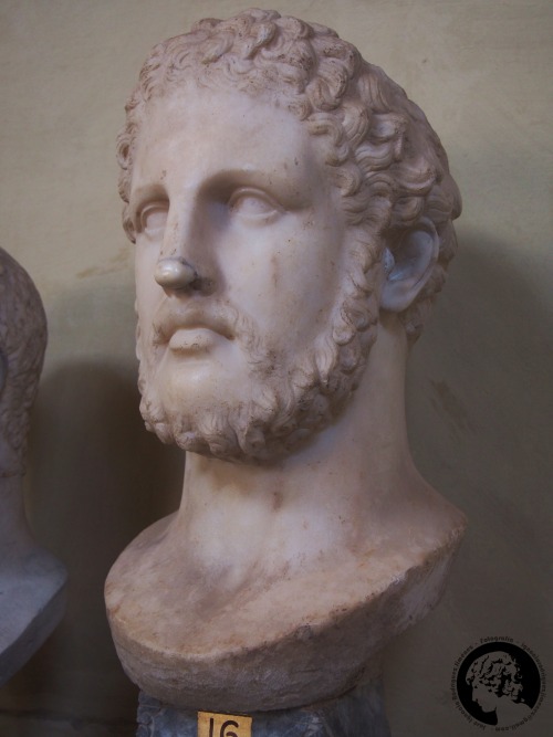 thesilenceofthemarble: Bust of Philip II of Macedon, roman copy, Vatican Museums, Rome, Italy