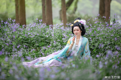 chinese hanfu in tang dynasty style by 竹里馆汉服