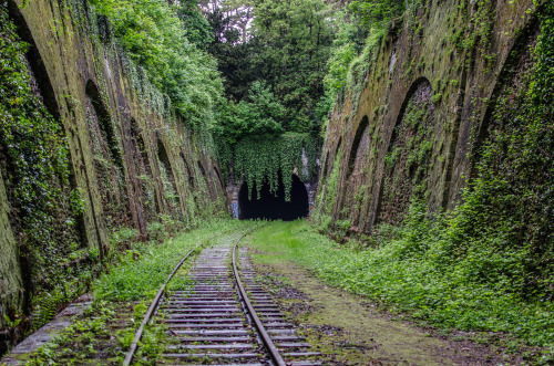 cdkphotography:  Exploration w/ @alexpenfornis & @alenpalander La Petite Ceinture - Parc Montsouris - PARIS ( Photography by C.D.K ) 