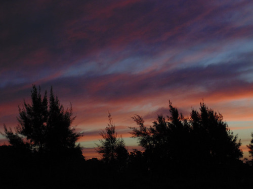 too-old-to-die:  sin título on Flickr. 