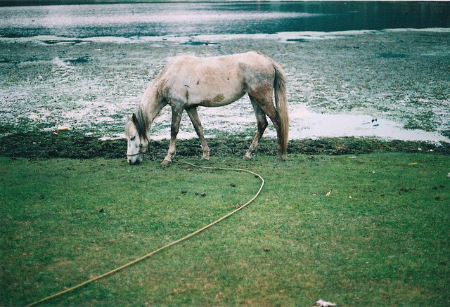 contempts:  untitled by Nidia msbm on Flickr. 