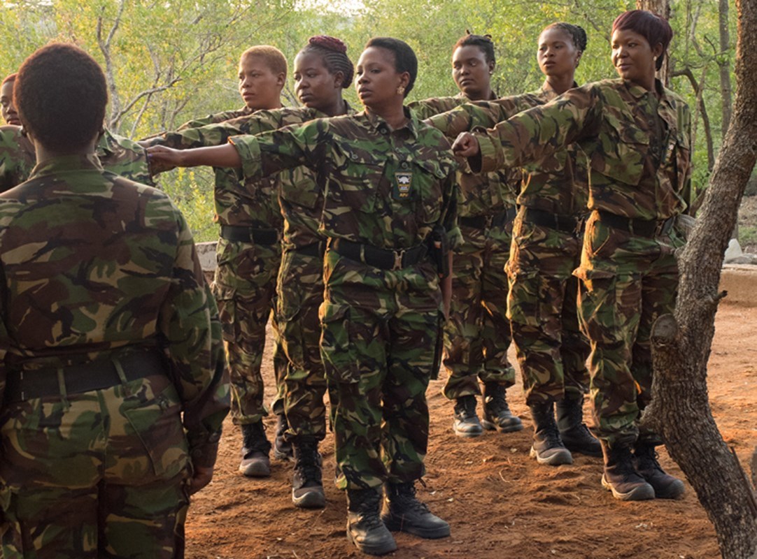 The Black Mambas | Champions of the Earth
