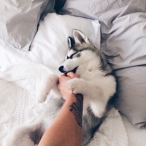 andrea-of-pangea:  ❤❤❤