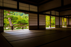 ileftmyheartintokyo:   	frame by frame (Tenryu-ji