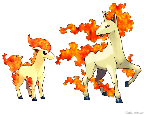 ニドクイン Ponyta And Rapidash