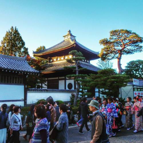 One more from the trip to Kyoto&rsquo;s Tofukuji last year. Love this city so much. #京都 #東福寺 #秋 