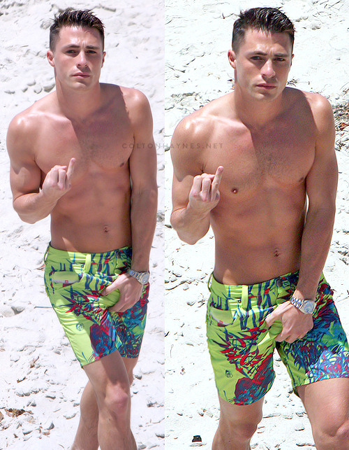 Porn Pics Colton Haynes.