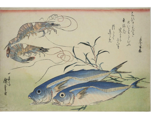 design-is-fine:  Utagawa Hiroshige, From the series Fish and Seafood, 1832. Coloured woodcut. Via MK