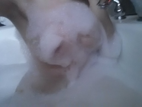 ghostlyfuck:  Some good ones.