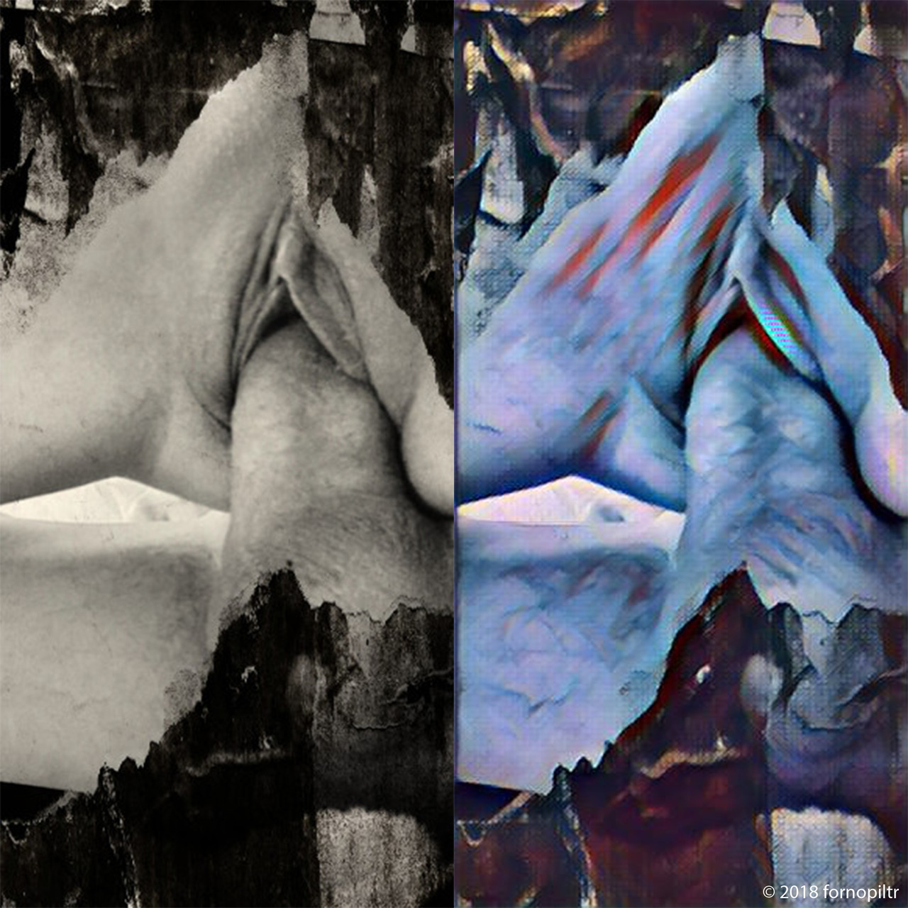 forno-piltr:© 2018
