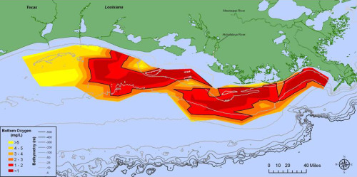 Largest Gulf of Mexico Dead Zone in more than a decadeEvery year, farmers throughout the central Uni