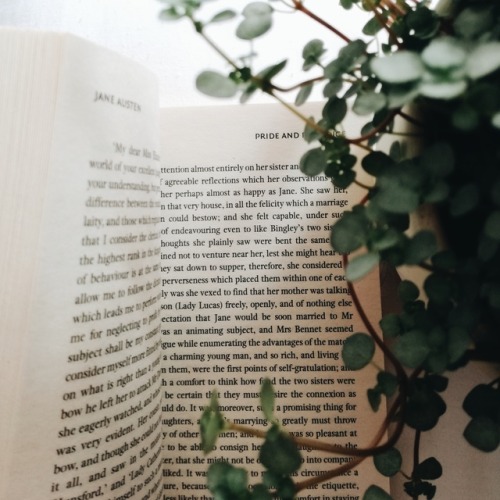 kristinastudies:I declare after all there is no enjoyment like reading! How much sooner one tires of