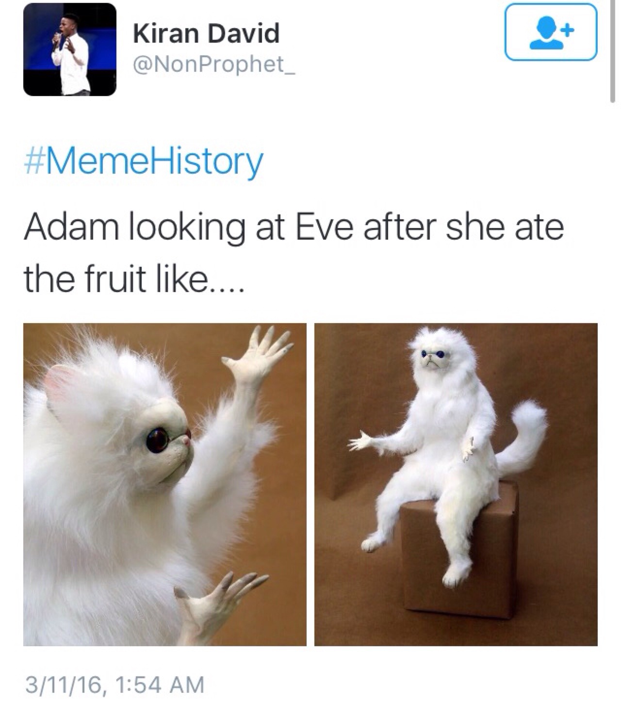 barelyfittingin:  n0stalgia96:  jamaicanamazon:  two-ees:  When I tell y'all this