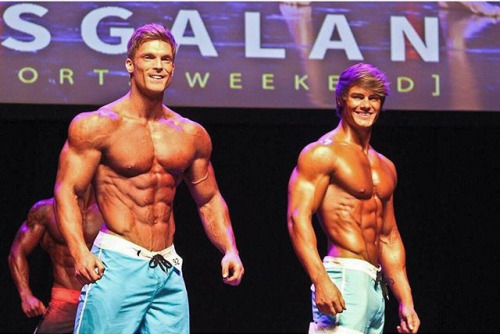 the art of fitness