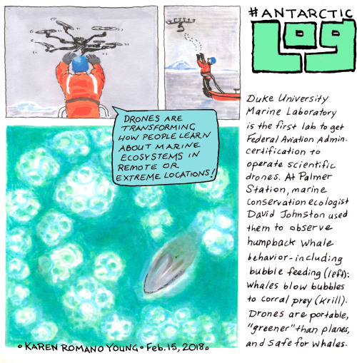 In our latest #AntarcticLog, artist Karen Romano Young reflects on her time spent at  Palmer Station
