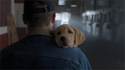 missbackwoodsbarbie:  Makes me tear up EVERY time !! 