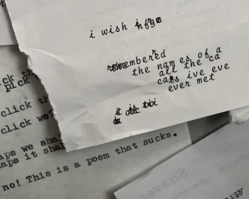 Went To A Bookstore Today. They Had Cats. And A Typewriter Where People Could Write Whatever And Tape