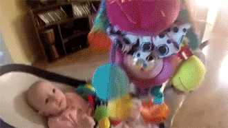 mockeryd:sizvideos:Watch the video Follow our TumblrDog: I AM SORRY BABY HUMAN! DO NOT CRY ANYMORE! 