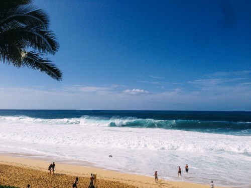 gypsyone:  Winter in Hawaii 