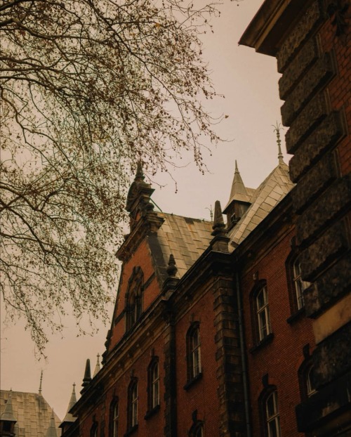 theacademictailor - The Academic Tailor